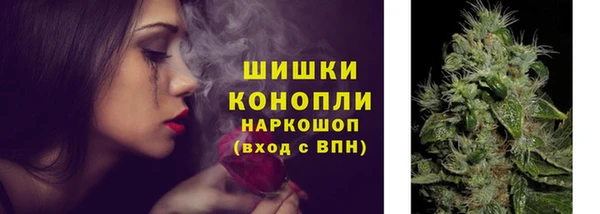 ГАЛЛЮЦИНОГЕННЫЕ ГРИБЫ Алексеевка