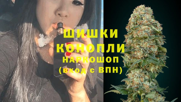 ГАЛЛЮЦИНОГЕННЫЕ ГРИБЫ Алексеевка