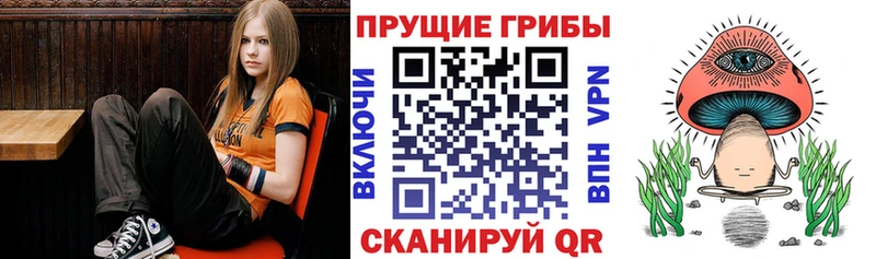 Псилоцибиновые грибы MAGIC MUSHROOMS  маркетплейс состав  Алупка 